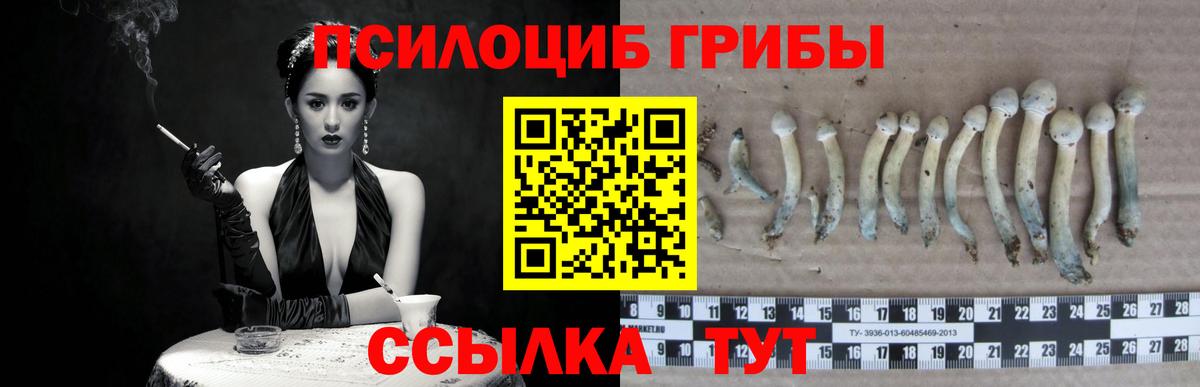 Луга  что такое   Вход с VPN  Псилоцибиновые грибы Magic Shrooms 