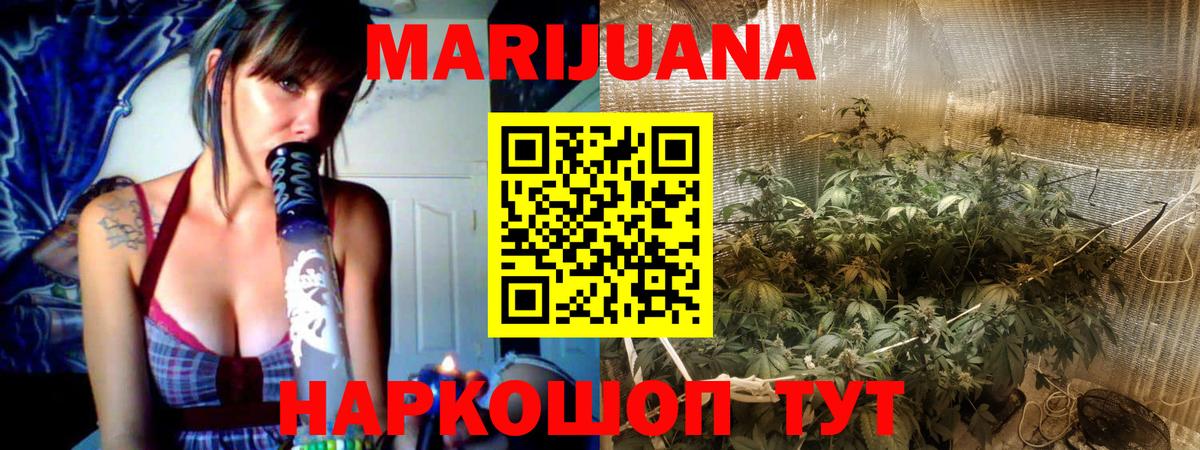 Бошки марихуана OG Kush Луга